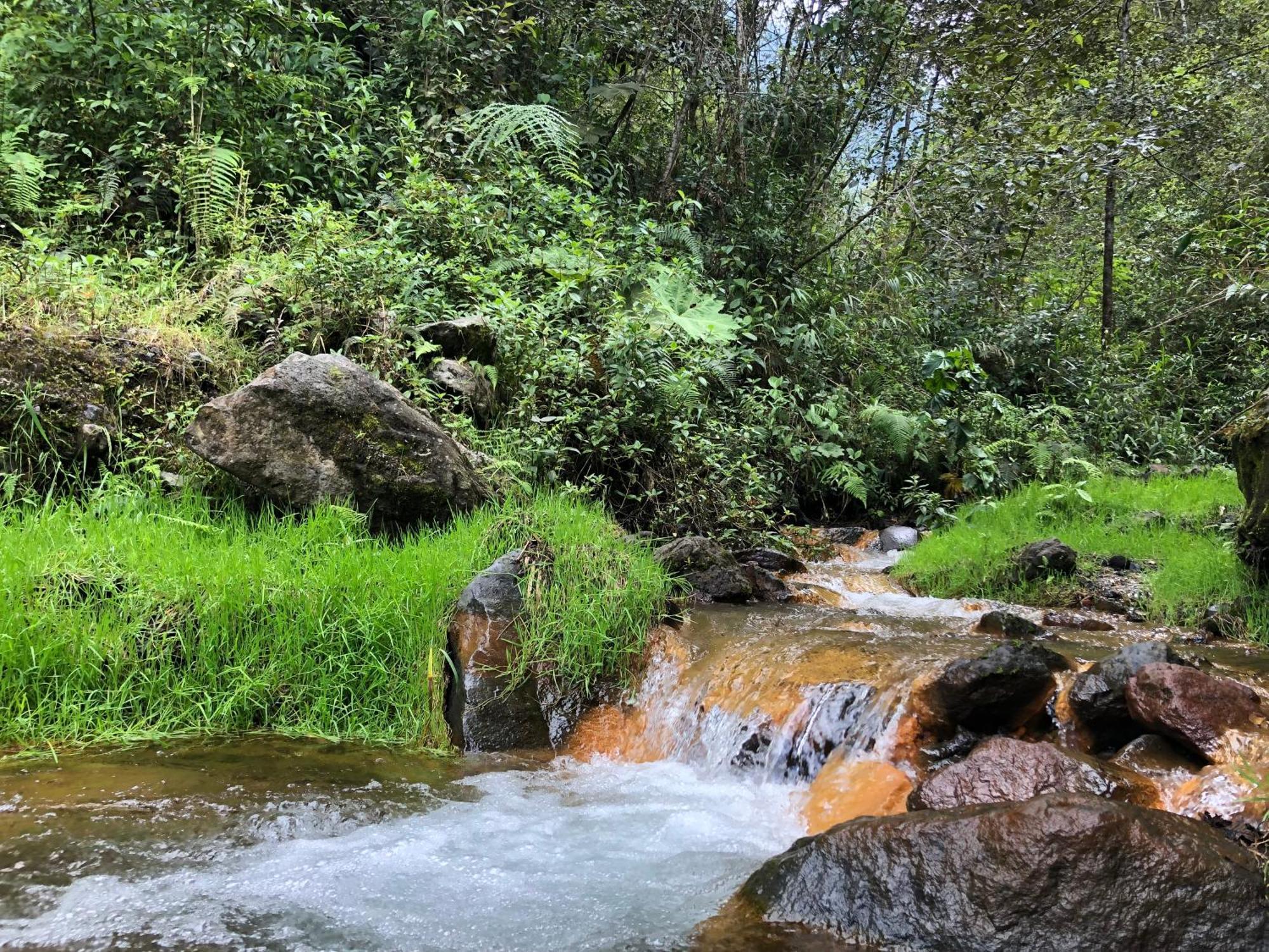 Mountain Chalet - Tungurahua Hot Springs/Aguas Termales Баньос Экстерьер фото